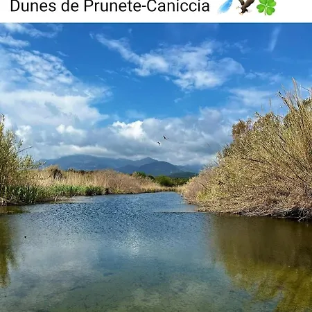 Piana Appartamento Cervione